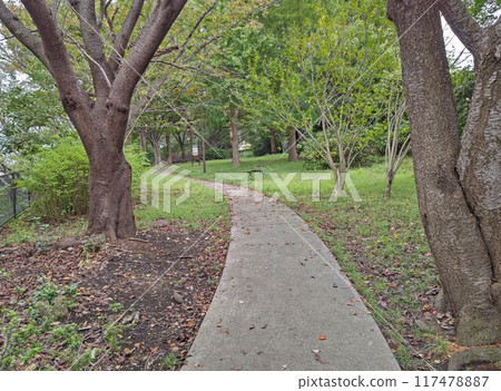 Yokohama City, Kohoku Ward, Shinohara Nishimachi Park, Shinohara Nishimachi 31, Playground, Woodland, Complex playground equipment 117478887