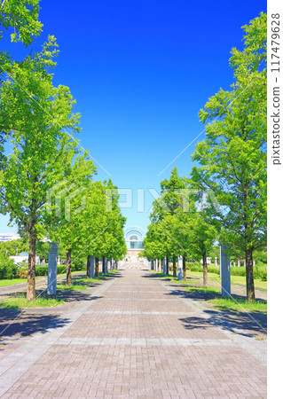 愛知縣知多區東浦町愛知健康廣場風景 117479628