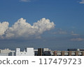 City sky 117479723