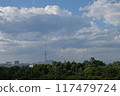 Forest and City 117479724