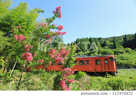 Kominato Railway "Satoyama landscape with blooming crape myrtle flowers and Kiha 40" Kominato Railway "Satoyama landscape with blooming crape myrtle flowers and Kiha 40" 117479872