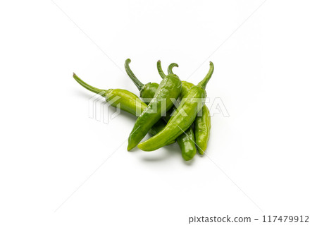 green pepper green pepper 117479912