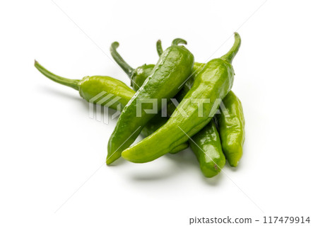 green pepper 117479914