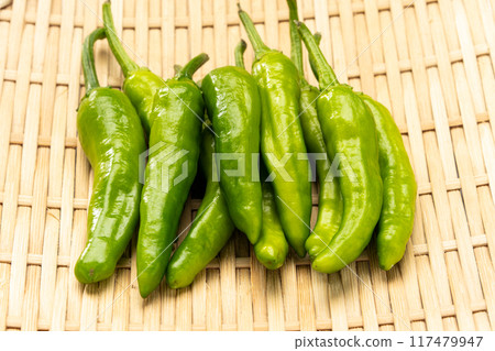 青椒 117479947