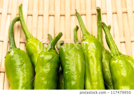 green pepper green pepper 117479950