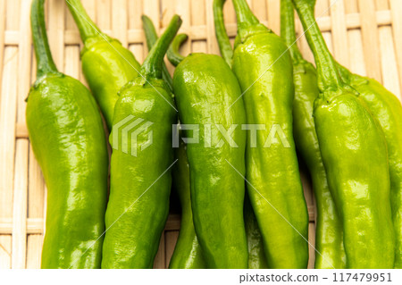 青椒 117479951