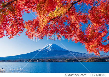[Yamanashi Prefecture] Autumn leaves on the shore of Lake Kawaguchi and Mt. Fuji 117480388