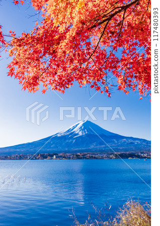 [山梨縣]川口湖和富士山的岸邊有秋葉 117480393