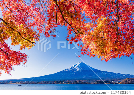 [山梨縣]川口湖和富士山的岸邊有秋葉 117480394