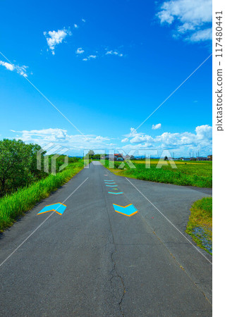 自行車道 117480441