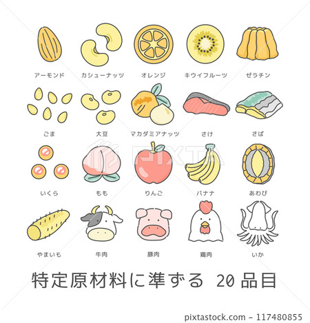 Illustration set of 20 food allergy-related ingredients 117480855