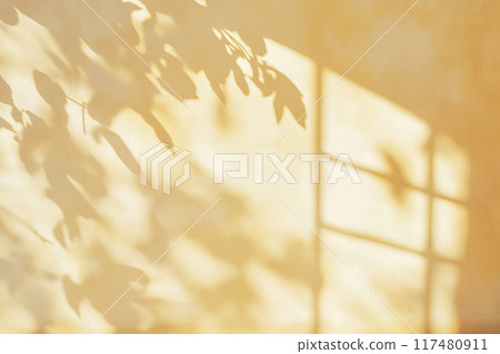 透過金色的窗戶，樹葉投下柔和的影子 117480911