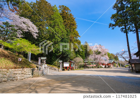 宮城縣鹽灶市春天的紫彥神社境內 宮城縣鹽灶市春天的紫彥神社境內 117481025
