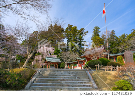 宮城縣鹽灶市春天的紫彥神社境內 宮城縣鹽灶市春天的紫彥神社境內 117481029