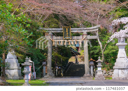 春天的鹽灶神社 宮城縣鹽灶市 東參道石牌坊 117481037