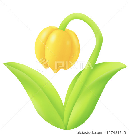 yellow flower 117481243