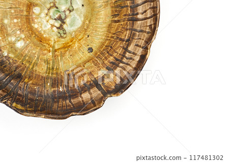 ceramic plate on white background ceramic plate on white background 117481302