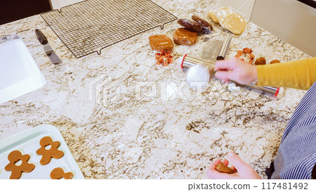 Using an adjustable rolling pin to roll out gingerbread cookie dough on the elegant marble counter in a modern kitchen, getting ready for festive holiday baking. Using an adjustable rolling pin to roll out gingerbread cookie dough on the elegant marble counter in a modern kitchen, getting ready for festive holiday baking. 117481492