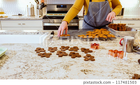 After baking to perfection, these delightful gingerbread cookies are now cooling gracefully on a wire rack, filling the modern kitchen with a warm and inviting aroma. 117481503