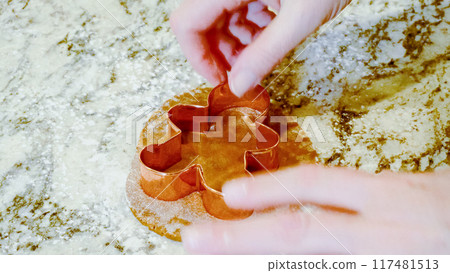 Using various festive cookie cutters, we're cutting out charming gingerbread cookies from the rolled dough on the sleek marble counter, bringing holiday cheer to the modern kitchen. 117481513