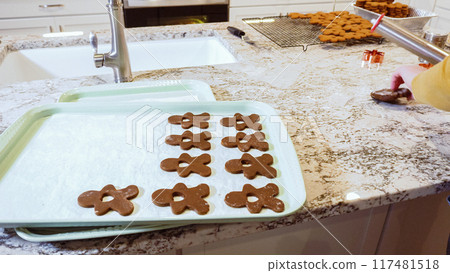 Freshly cut-out gingerbread cookies rest on a baking sheet, lined with parchment paper, awaiting a cool and refreshing chill in the fridge before their delicious transformation in the oven. Freshly cut-out gingerbread cookies rest on a baking sheet, lined with parchment paper, awaiting a cool and refreshing chill in the fridge before their delicious transformation in the oven. 117481518