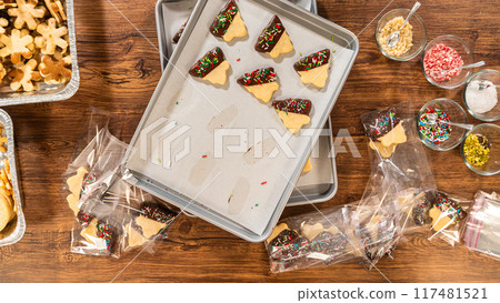 Carefully packaging Christmas cutout cookies, half-dipped in chocolate and presented in clear cellophane wrapping, perfect for festive gifting. Carefully packaging Christmas cutout cookies, half-dipped in chocolate and presented in clear cellophane wrapping, perfect for festive gifting. 117481521