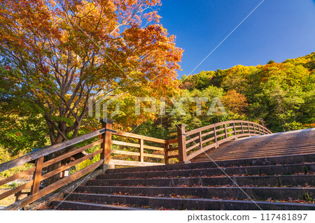 [Nagano Prefecture] Naraijuku, Kiso Bridge, Afternoon sunshine 117481897