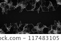 Abstract connection of dots and lines on a black background. Black and white plexus effect. Particles and polygons fly slowly, a futuristic interweaving of digital data. Neural networks, Cellul 4k	 117483105