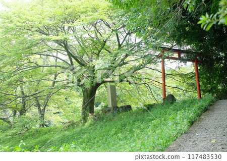 The approach to Okami Shrine, the shrine of Benzaiten, one of the Eight Great Dragon Kings, in Sakurai City, Nara The approach to Okami Shrine, the shrine of Benzaiten, one of the Eight Great Dragon Kings, in Sakurai City, Nara 117483530