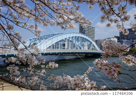 Eitai Bridge in Spring Eitai Bridge in Spring 117484106