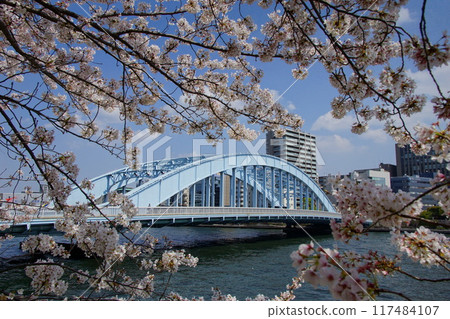 Cherry blossoms and Eitai Bridge Cherry blossoms and Eitai Bridge 117484107