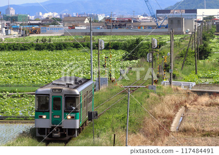 [N] Naruto Line 1200 Series Diesel Car (Tokushima⇔Naruto) 117484491
