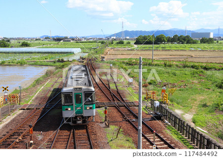 [N] Naruto Line 1200 Series Diesel Car (Tokushima⇔Naruto) 117484492
