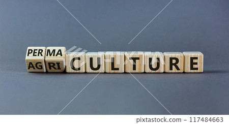 Fliped wooden cubes and changed the inscription 'agriculture' to 'permaculture'. Beautiful grey background, copy space. Business concept. Fliped wooden cubes and changed the inscription 'agriculture' to 'permaculture'. Beautiful grey background, copy space. Business concept. 117484663