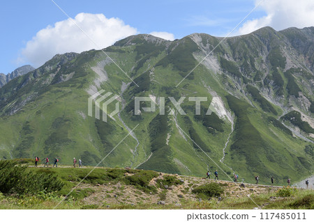 夏季，健行者在立山山的山路上行走 117485011