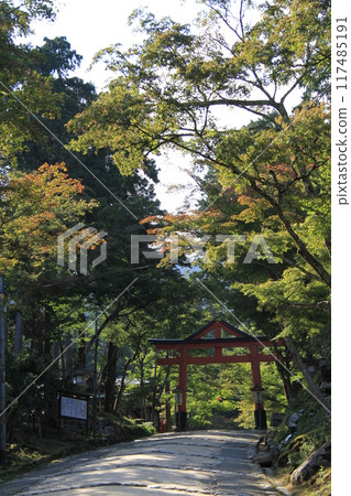 日吉泰山的山山鳥居 日吉泰山的山山鳥居 117485191