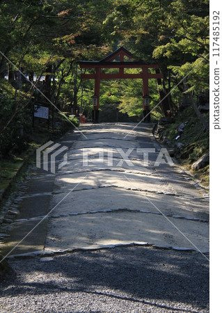 Saniyama torii of Hiyoshi Taisha Saniyama torii of Hiyoshi Taisha 117485192