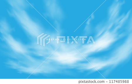 Vector of realistic white cloud on blue sky background 117485988