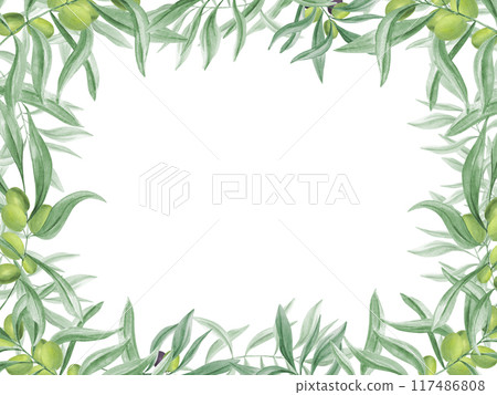 Olive twig with ripe and unripe olives. Branch with berry. Mediterranean lifestyle. Lush green leaves. Horizontal frame with copy space for text. Watercolor illustration. For culinary themes Olive twig with ripe and unripe olives. Branch with berry. Mediterranean lifestyle. Lush green leaves. Horizontal frame with copy space for text. Watercolor illustration. For culinary themes 117486808