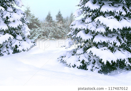 Spruces covered with snow. Beautiful winter forest. Fairy-tale beautiful tree Spruces covered with snow. Beautiful winter forest. Fairy-tale beautiful tree 117487012
