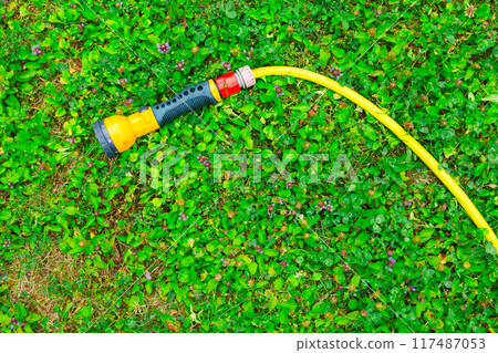 A water hose with a sprayer for watering plants in the garden. Gardening concept. A water hose with a sprayer for watering plants in the garden. Gardening concept. 117487053