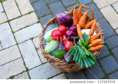 Different freshly harvested vegetables outdoors on sunny day Different freshly harvested vegetables outdoors on sunny day 117487058