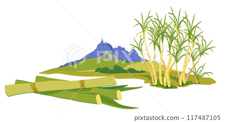 Sugarcane fields with famous Pieter Both mountain in the background. Vector landscape of Moka mountain range, tourist attraction of Mauritius island. Horizontal illustration of landmark in flat style. 117487105