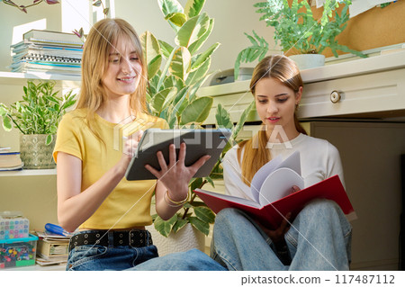 Two teenage girls students studying sitting on the floor at home 117487112