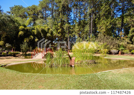 Brasilia Botanical Garden in Brasilia, Brazil, at sunny dat. Jardim Botanico Brasilia Botanical Garden in Brasilia, Brazil, at sunny dat. Jardim Botanico 117487426