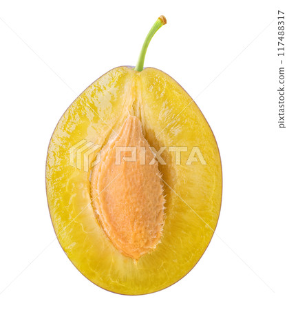 Fresh plum cross section with seed isolated on white background 117488317