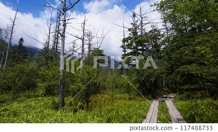 長野縣松本市上高地的夏天 117488733