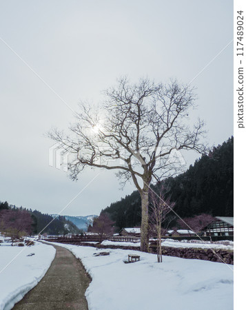 Winter scenery at Ichijodani Asakura Clan Ruins Winter scenery at Ichijodani Asakura Clan Ruins 117489024