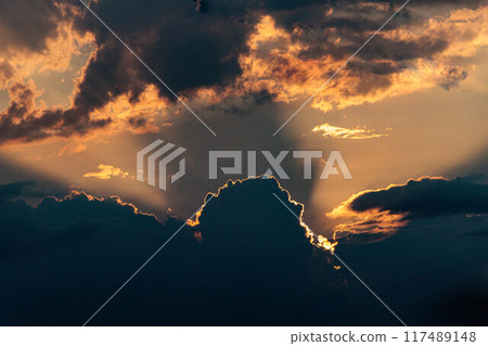 夕陽的光 夕陽的光 117489148