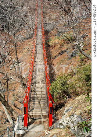 A rare red suspension bridge with steps spanning the Konaka River A rare red suspension bridge with steps spanning the Konaka River 117489214